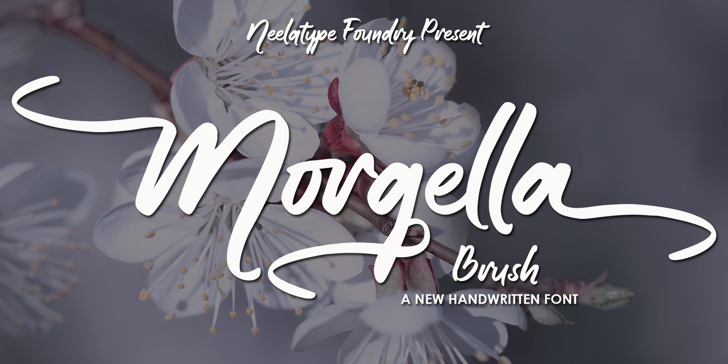 Fuente Morgella Brush